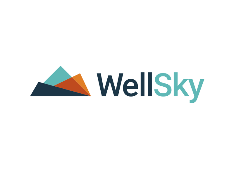 WellSky logo